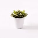 Online Designer Bedroom Faux Potted Echeveria Succulent Plant