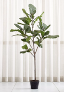 Online Designer Bedroom 7' Fiddle Leaf Fig Tree