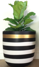 Online Designer Kitchen Stripe Planter Pot