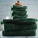 Online Designer Home/Small Office Danni-Lee Ultra Soft and Absorbent 10 Piece 100% Cotton Towel Set