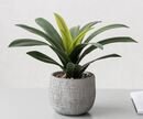 Online Designer Home/Small Office Artificial Foliage Plant