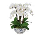 Online Designer Home/Small Office Faux Orchid in Rose Trellis Bowl