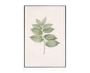 Online Designer Combined Living/Dining Solomon's Seal Art Print