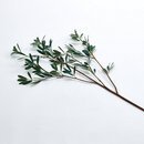 Online Designer Combined Living/Dining Olive Leaf Stems - Set of 3