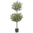 Online Designer Living Room Olive Tree Topiary in Pot