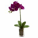 Online Designer Business/Office Orchid Floral Arrangement in Vase
