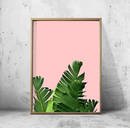 Online Designer Bedroom Palm Leaf Print Pink Green Wall art Foliage 