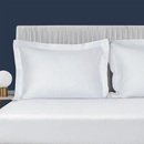 Online Designer Bedroom Vivian 100% Cotton Pillow Sham (Set of 2)