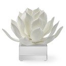 Online Designer Bedroom White Agave On Acrylic Stand