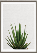 Online Designer Living Room Cactus Home Decor, Mexican Print