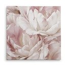 Online Designer Home/Small Office 'Intimate Blush IV' Oil Painting Print on Wrapped Canvas