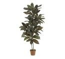 Online Designer Combined Living/Dining Faux Potted Cordyline Plant