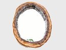 Online Designer Home/Small Office Sculpted Basswood Hollow Log Frame with Mirror 106