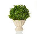 Online Designer Hallway/Entry Faux Myrtle Topiary in Pot