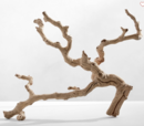 Online Designer Combined Living/Dining Dried Grapewood Branch