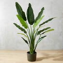Online Designer Home/Small Office POTTED FAUX BIRD OF PARADISE 6'