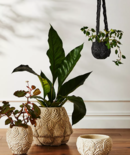 Online Designer Home/Small Office Yoko Textured Pot