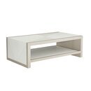 Online Designer Living Room Axiom Sled Coffee Table with Storage
