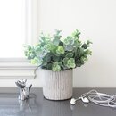 Online Designer Bathroom 9'' Artificial Eucalyptus Plant in Pot