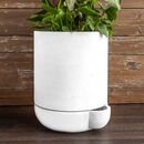 Online Designer Combined Living/Dining The Simple Self-Watering Pot - 5 Gallon