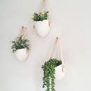 Online Designer Combined Living/Dining Set of 3 Spora w/ leather: porcelain hanging planters