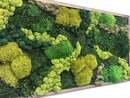 Online Designer Bedroom Moss Art, Real Preserved moss wall art
