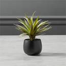 Online Designer Combined Living/Dining faux potted succulent with black pot
