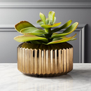 Online Designer Combined Living/Dining potted faux succulent gold pot