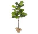 Online Designer Home/Small Office Faux Potted Fiddle Leaf Trees