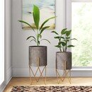 Online Designer Living Room PLANT POTS