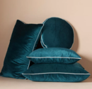 Online Designer Home/Small Office Adelina Velvet Pillow