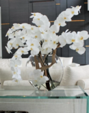 Online Designer Bedroom Phalaenopsis and California Sandblasted Ghostwood Orchids Centerpiece in Vase