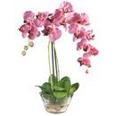 Online Designer Living Room Orchid with Glass Vase