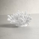 Online Designer Bathroom Diorio Coral Décor Sculpture
