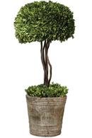 Online Designer Dining Room PRESERVED BOXWOOD TREE TOPIARY