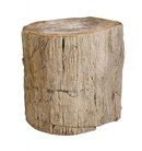 Online Designer Combined Living/Dining Petrified Wood Side Table