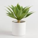Online Designer Living Room Faux Potted Agave Plant