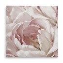 Online Designer Home/Small Office 'Intimate Blush Il' Oil Painting Print on Wrapped Canvas