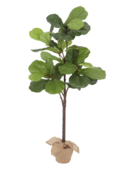 Online Designer Dining Room Faux Potted Fiddle Leaf Fig Trees
