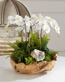 Online Designer Combined Living/Dining T&C Floral Company White Orchid Faux-Floral Arrangement in Wooden Bowl 