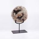 Online Designer Hallway/Entry Petrified Wood Object on Stand