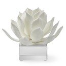 Online Designer Combined Living/Dining White Agave On Acrylic Stand