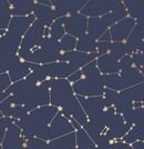 Online Designer Nursery Constellations Wallpaper - Navy