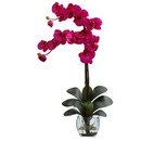 Online Designer Living Room Double Phalaenopsis Orchid in Vase