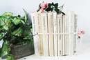 Online Designer Bedroom White Ivory Books by the Stack, Books by the Foot, 12