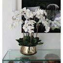 Online Designer Combined Living/Dining Phalaenopsis Orchids Floral Arrangement in Planter