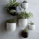 Online Designer Combined Living/Dining Ceramic Wallscape Planters