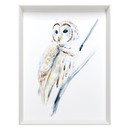 Online Designer Bedroom Arctic Owl 1