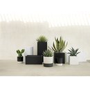 Online Designer Business/Office blox medium square galvanized charcoal planter