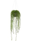 Online Designer Bedroom String of Pearl Artificial Plant Hanging Basket